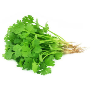 Fresh Coriander with Roots from Thailand - Available at India supermarkt Switzerland