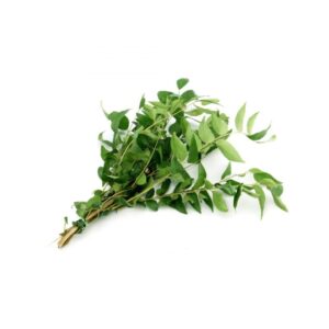 Frozen Curry Leaves from India/Vietnam - Authentic herbs at India supermarkt Switzerland