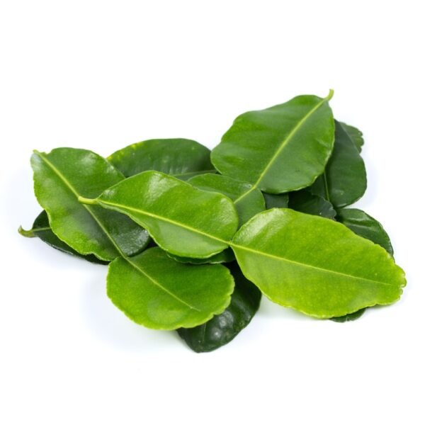 Fresh Lime Leaves - Essential herb for Asian cuisines at India supermarkt Switzerland