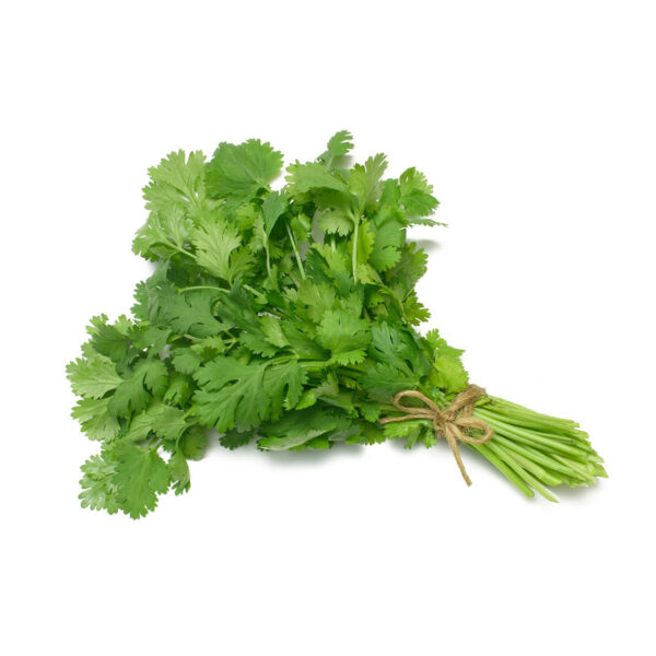 Fresh Coriander without Roots from Spain - Available at India supermarkt Switzerland